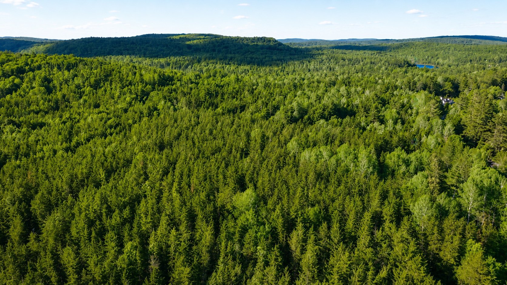 Aerial photo