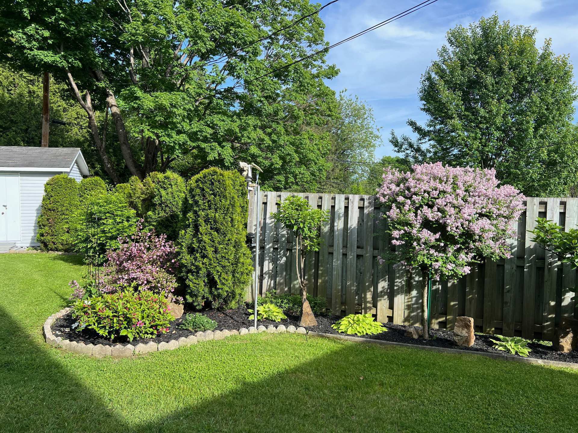 Backyard