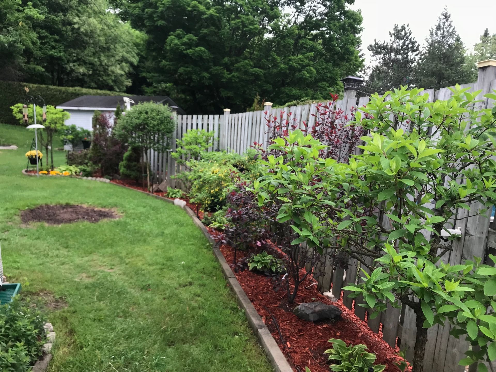 Backyard