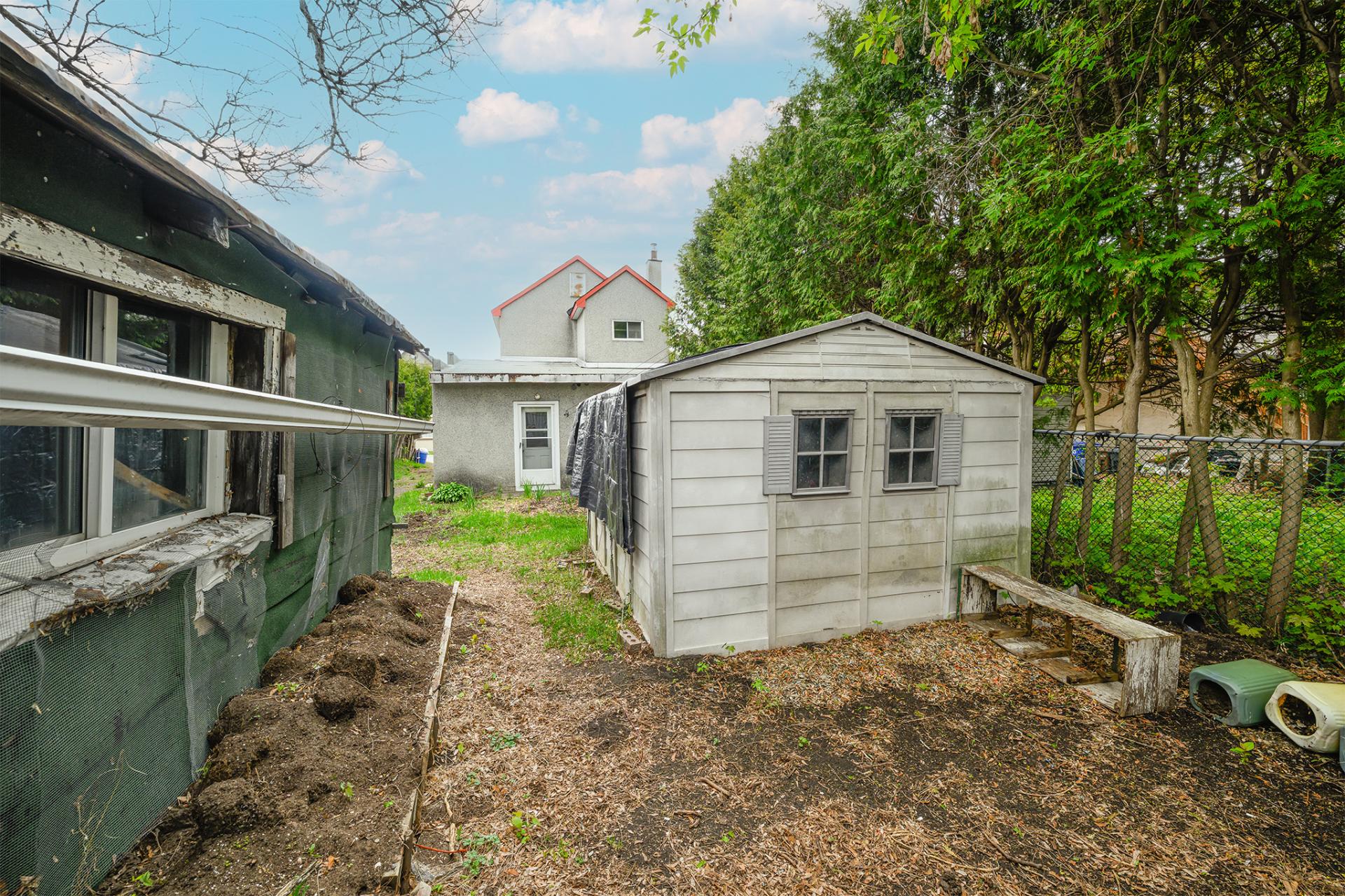 Backyard