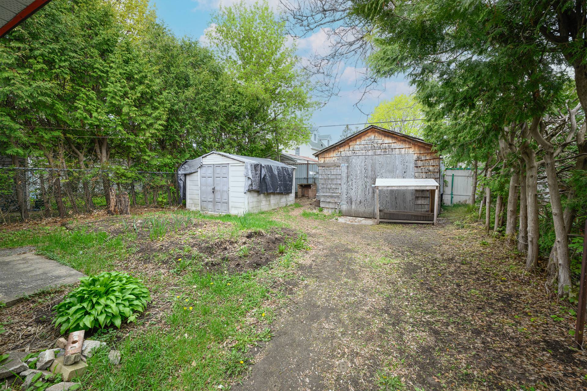 Backyard