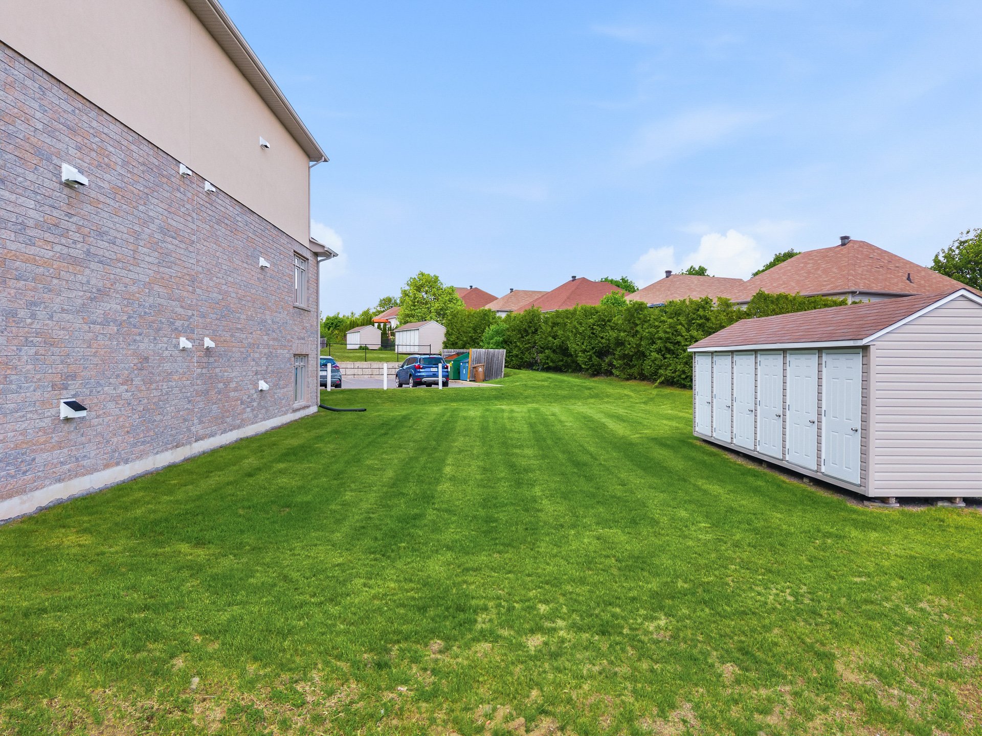 Backyard
