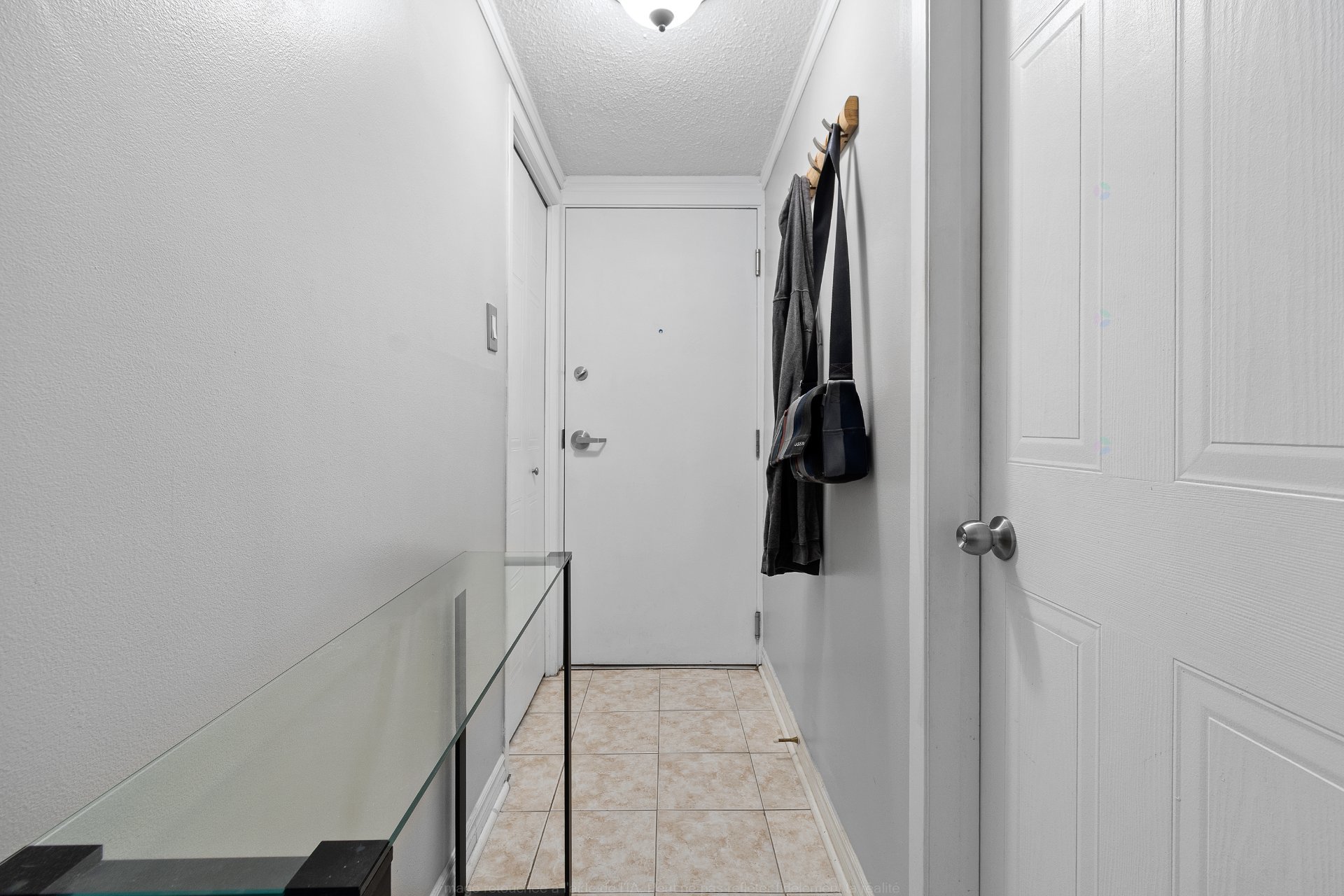 Hall d'entrée/Vestibule