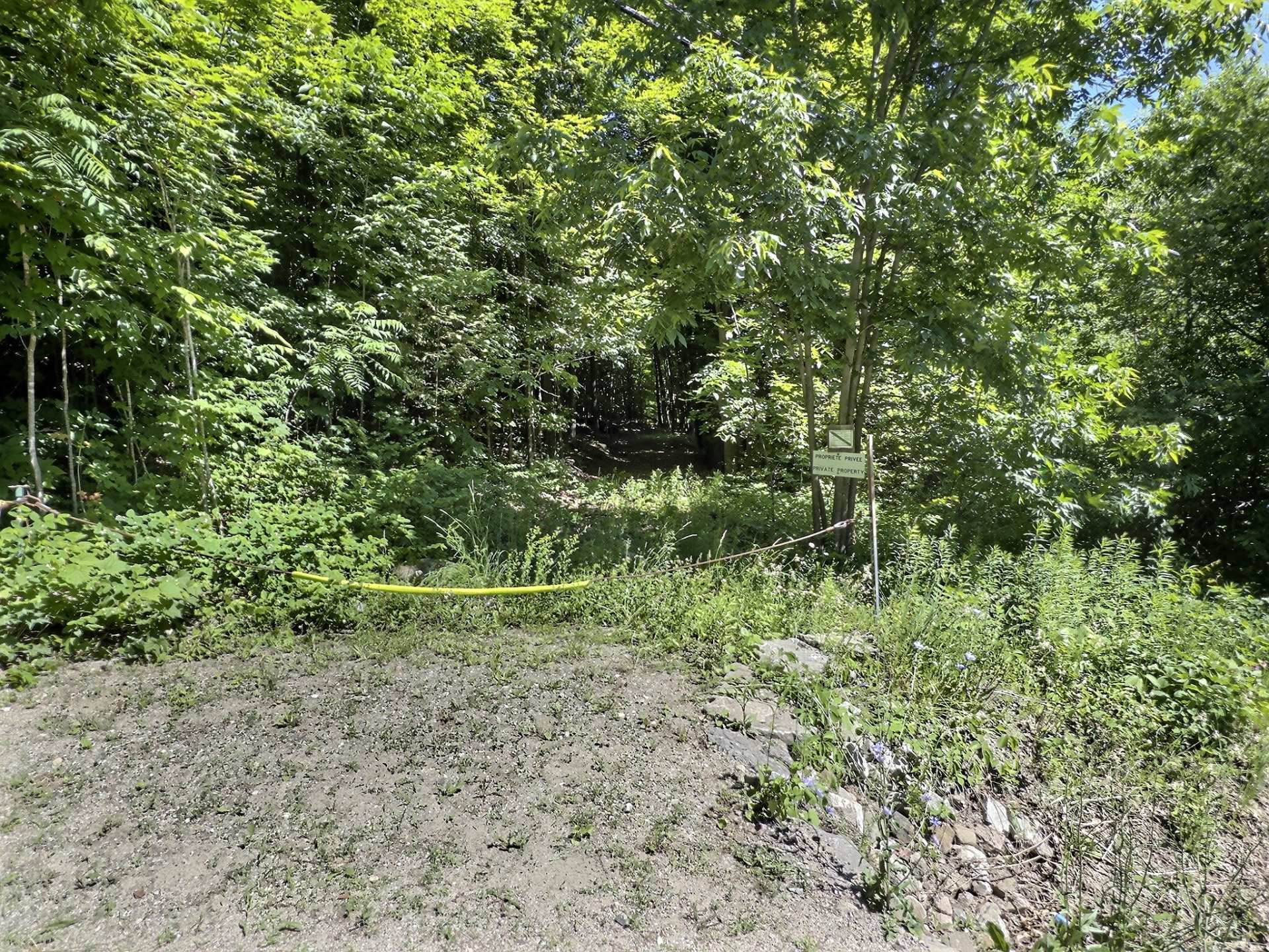 Terre/Terrain