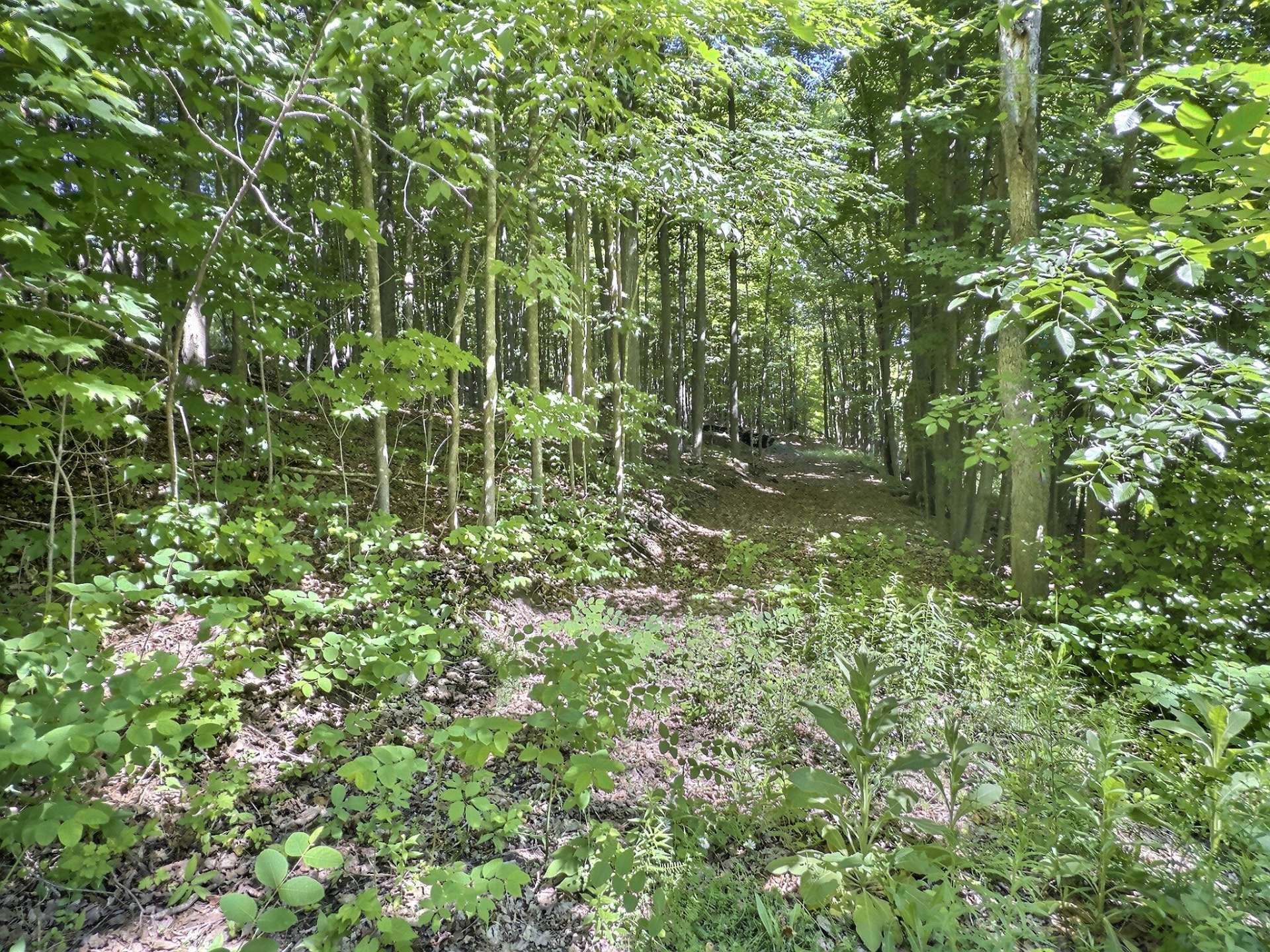 Terre/Terrain