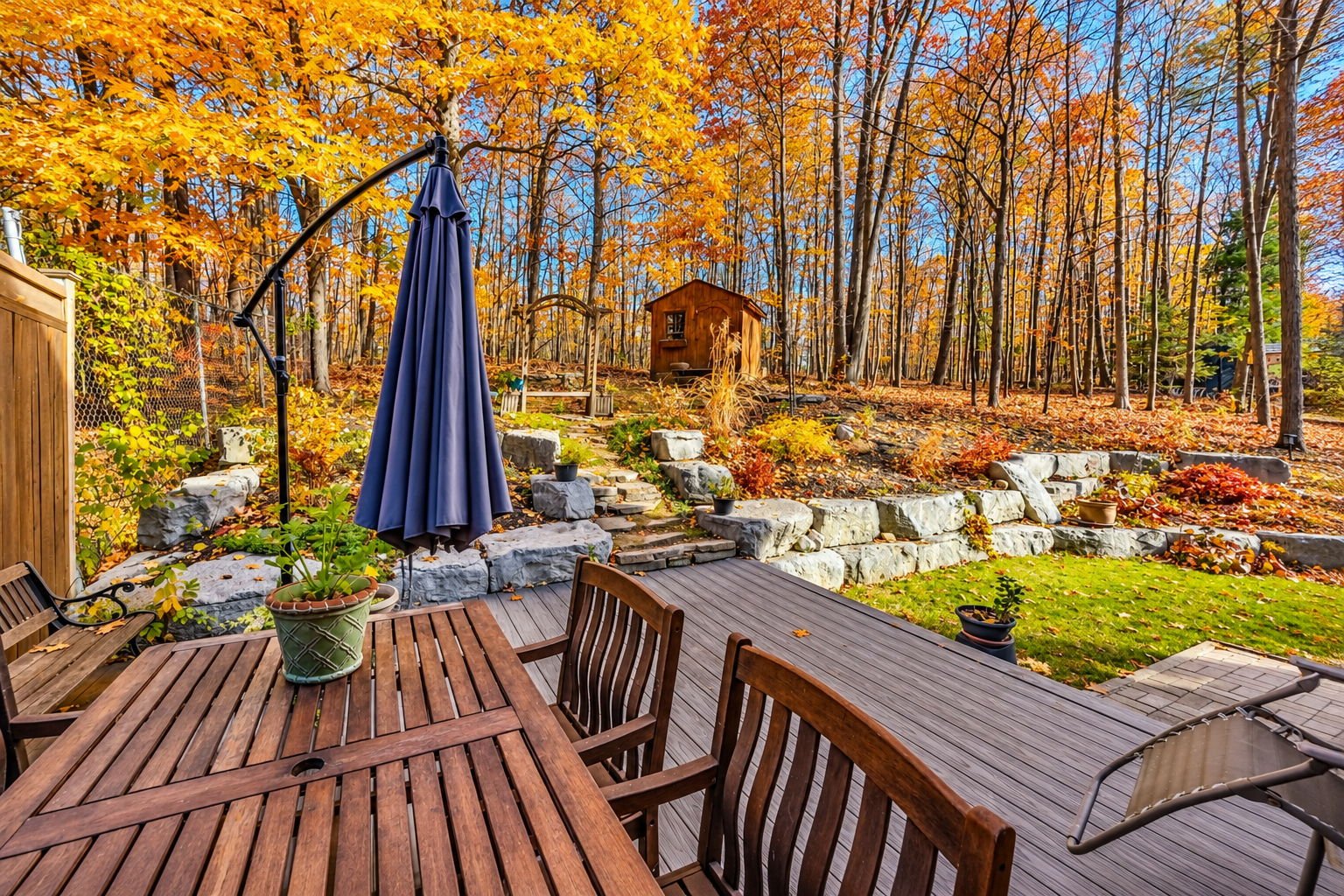 Backyard