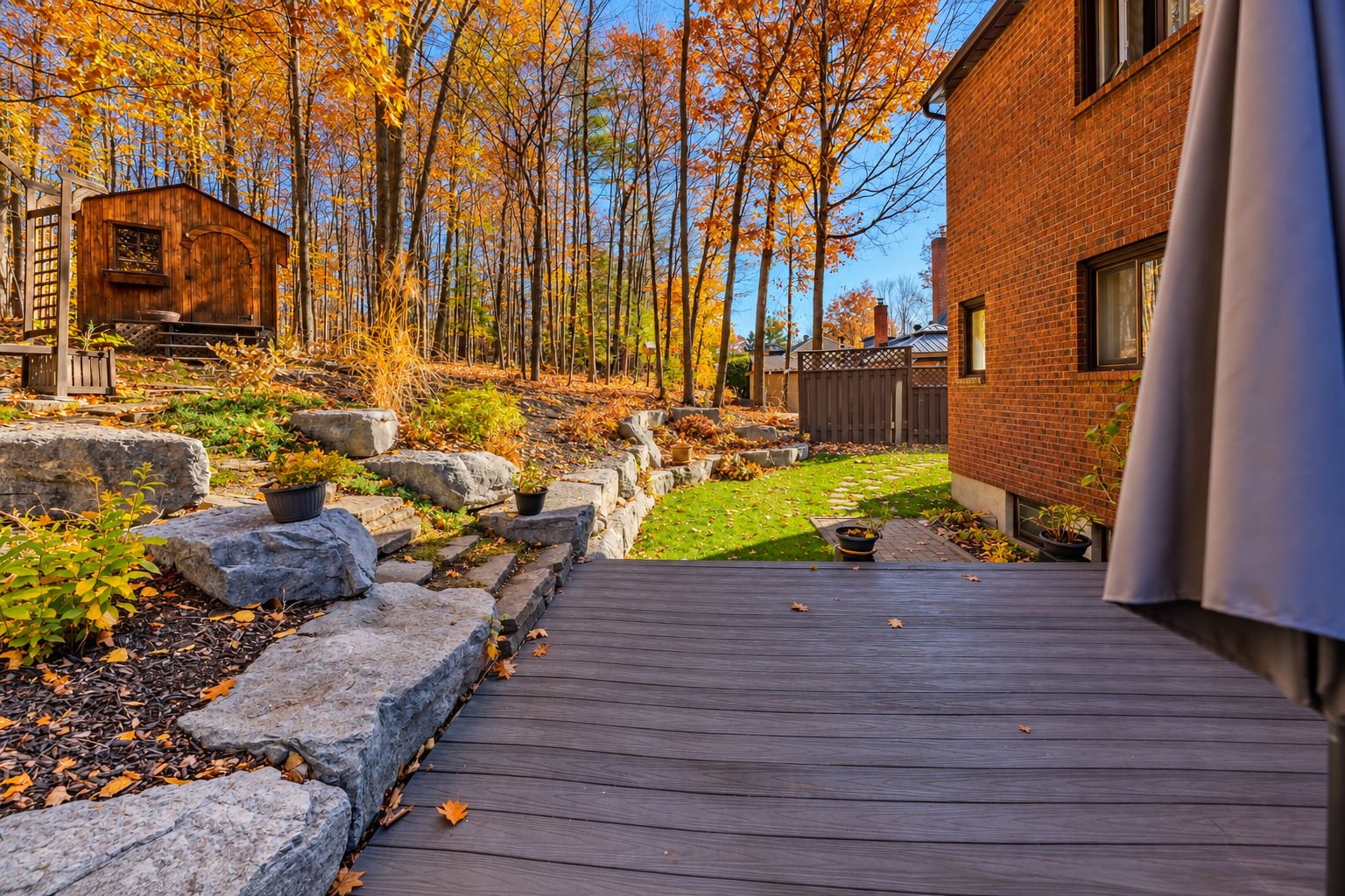 Backyard
