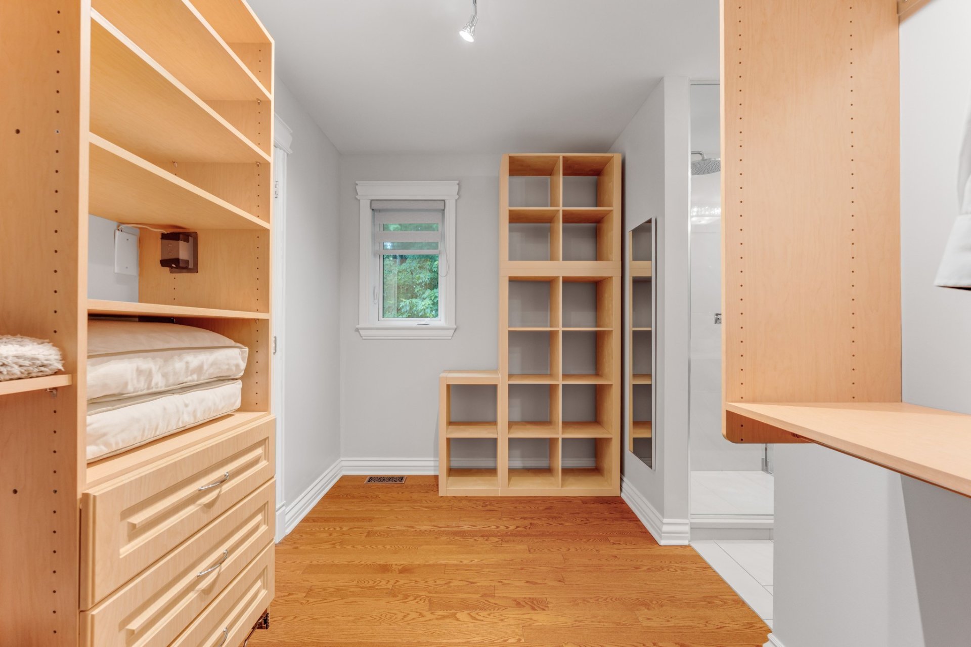 Walk-in closet