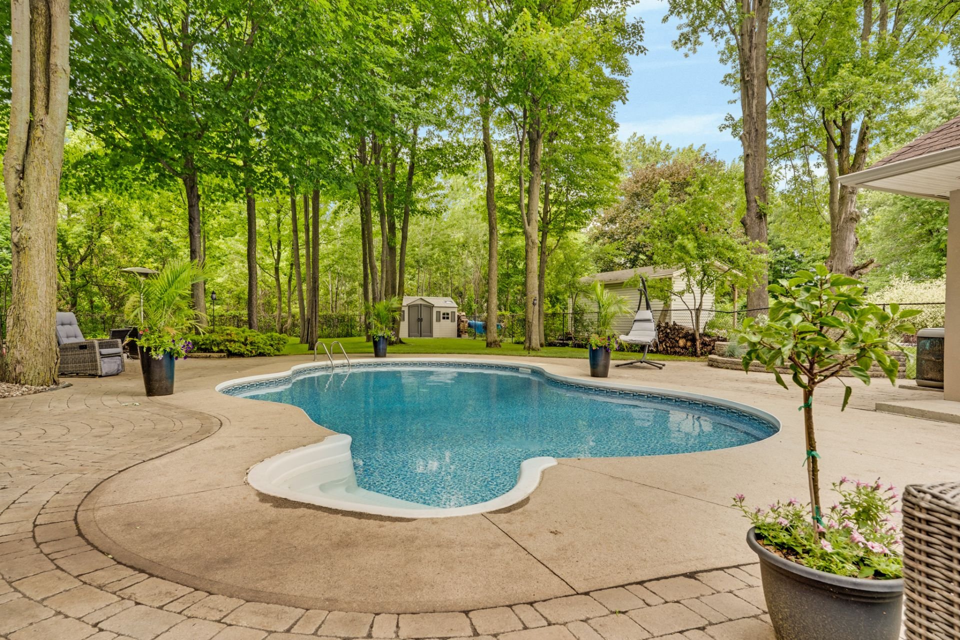 Backyard