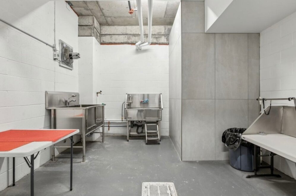 Other - Pitou Minou Room