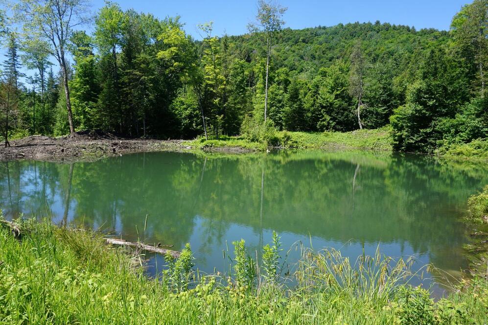Bord de l'eau - Lac artificiel
