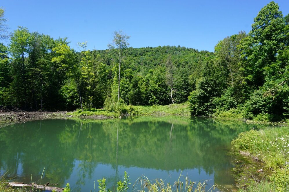 Bord de l'eau - Lac artificiel