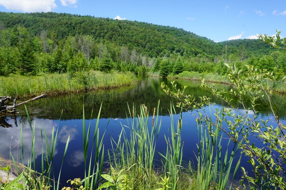 Bord de l'eau - Lac artificiel