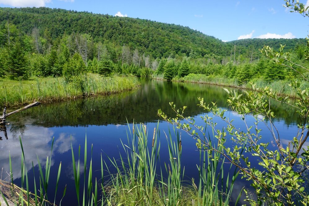 Bord de l'eau - Lac artificiel