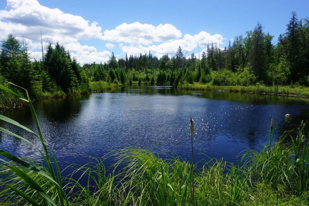 Bord de l'eau - Lac Artificiel