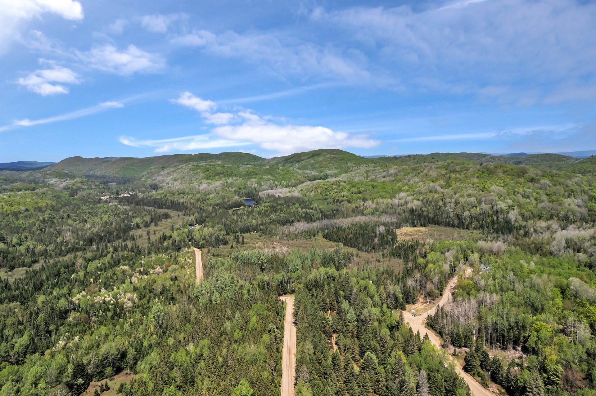 Aerial photo