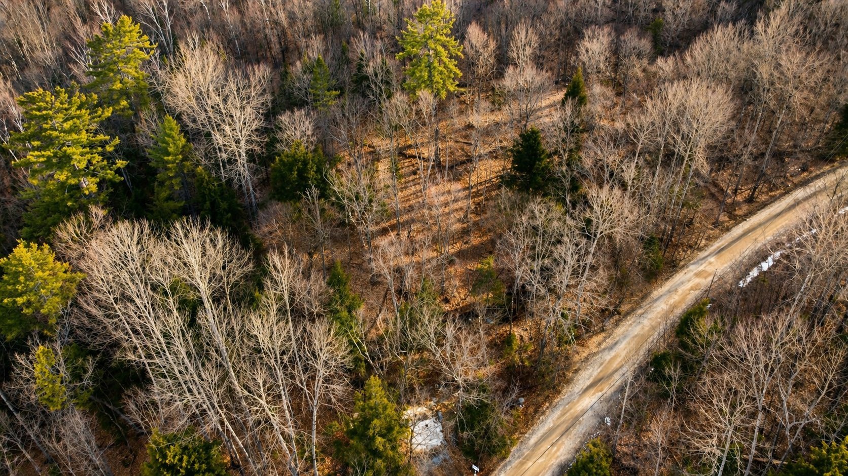 Overall view