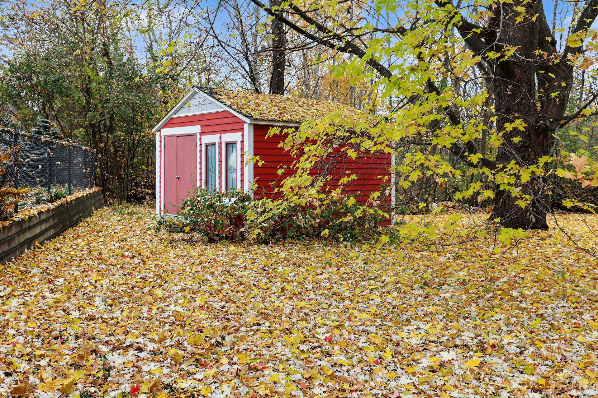 Shed