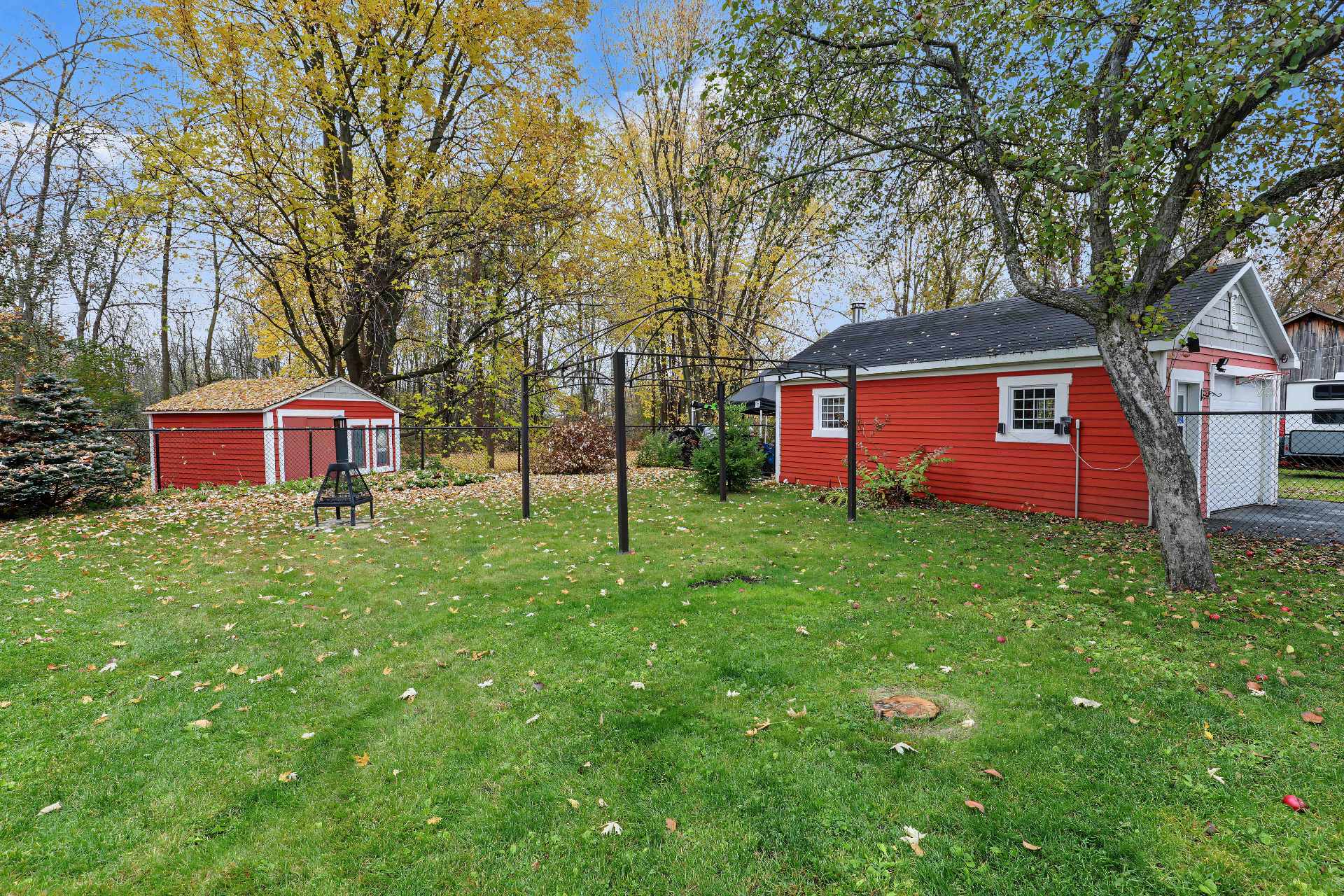 Backyard