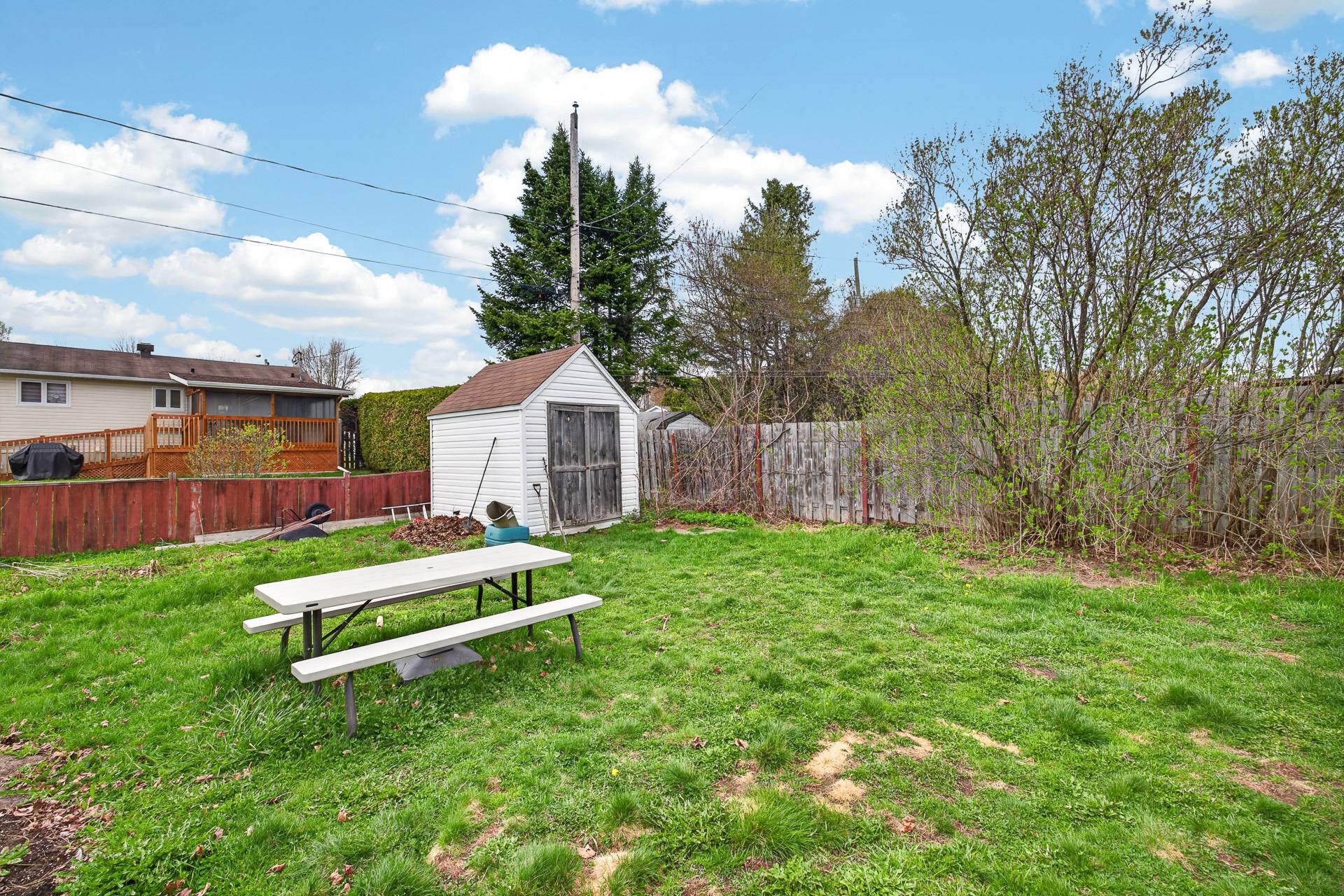Backyard
