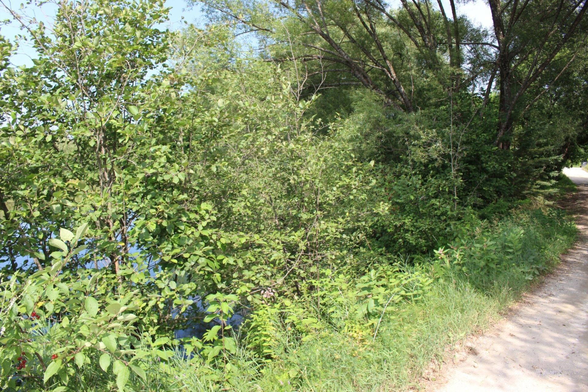 Terre/Terrain