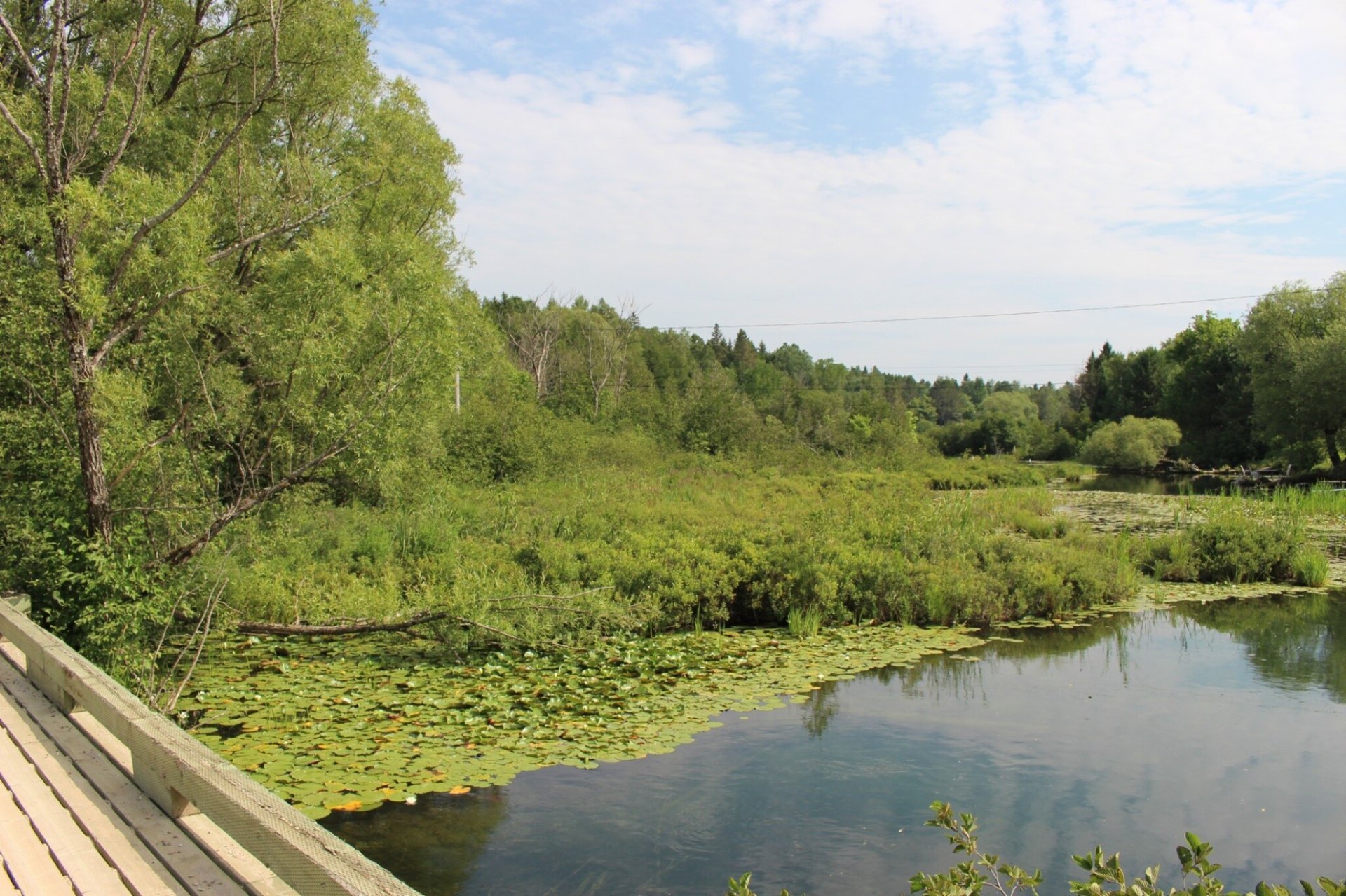 Bord de l'eau