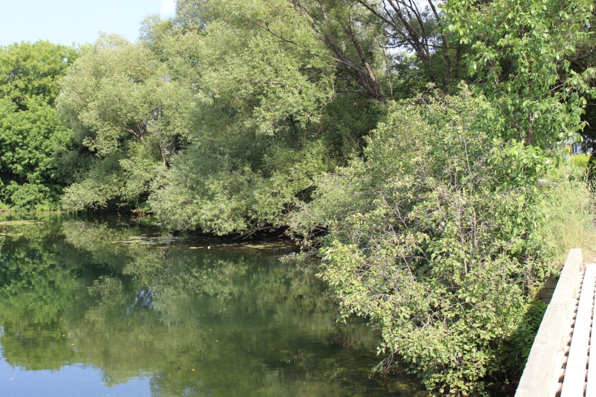 Bord de l'eau