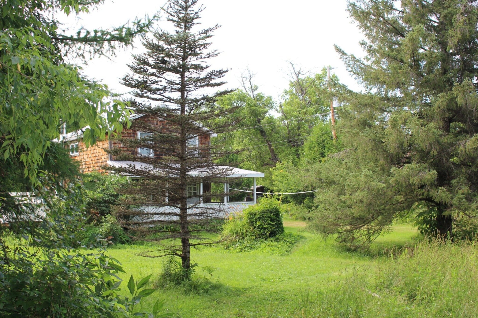 Terre/Terrain