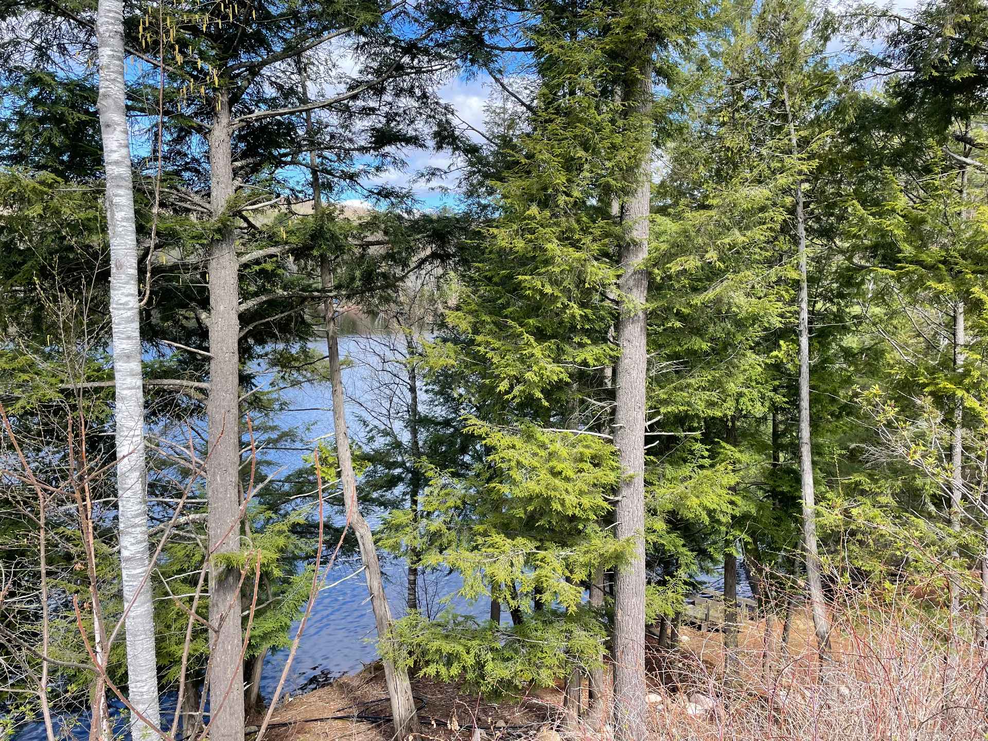 Water view