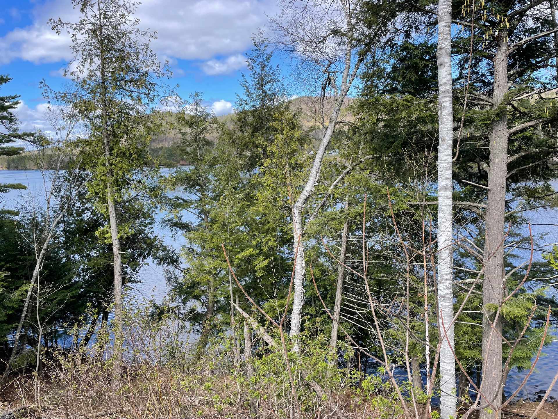 Water view