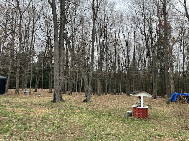 Land/Lot
