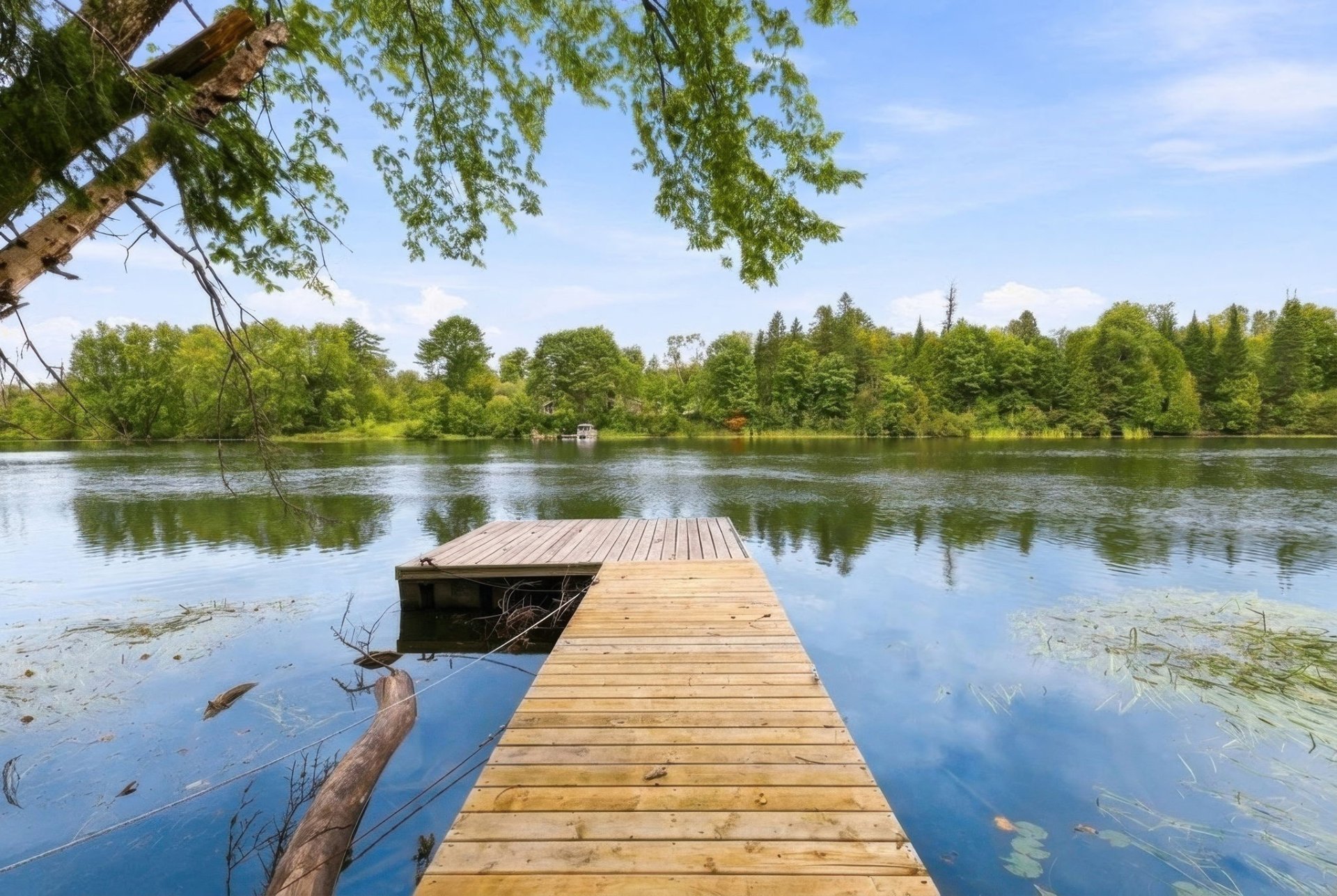 Bord de l'eau