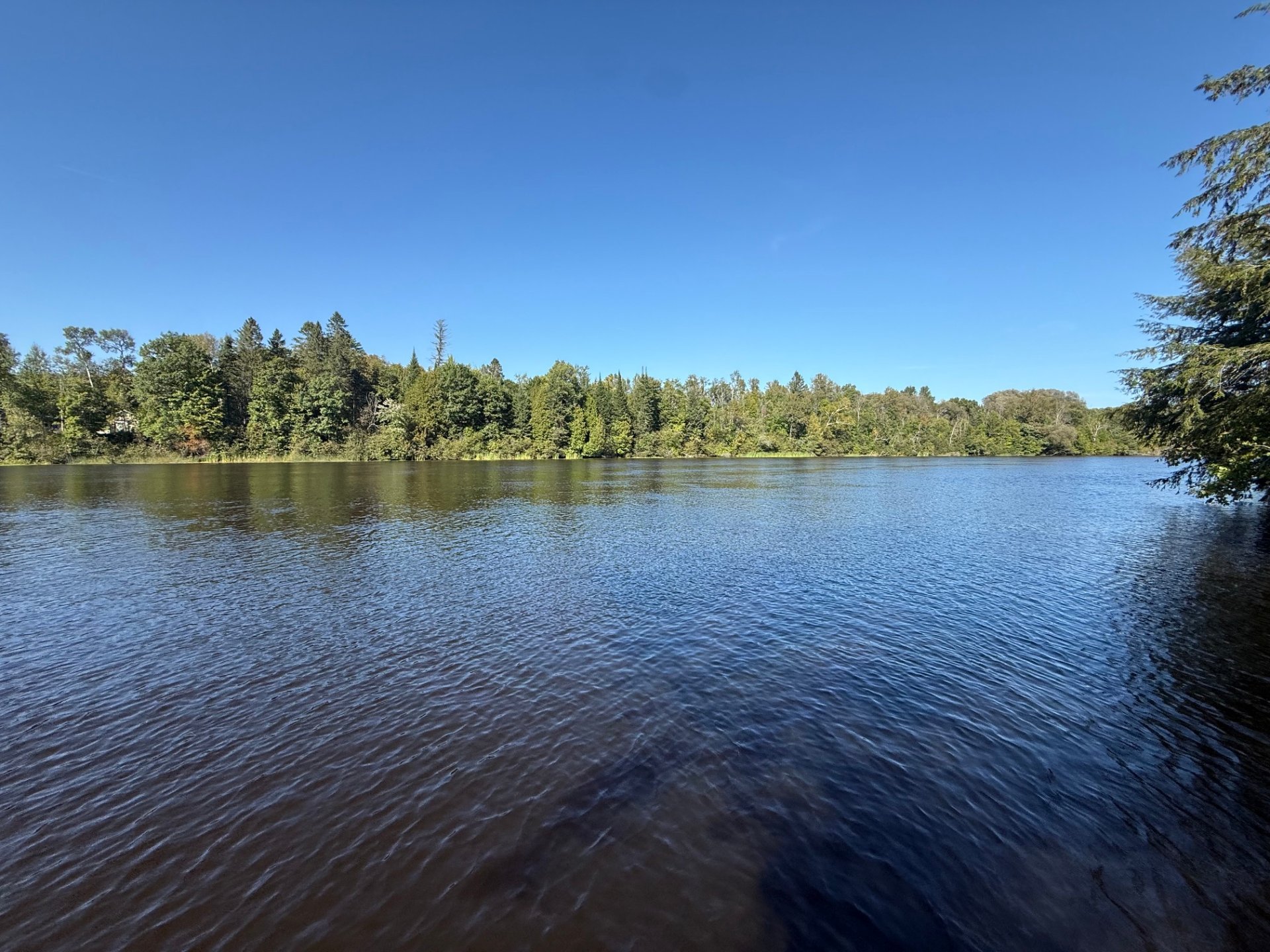 Bord de l'eau
