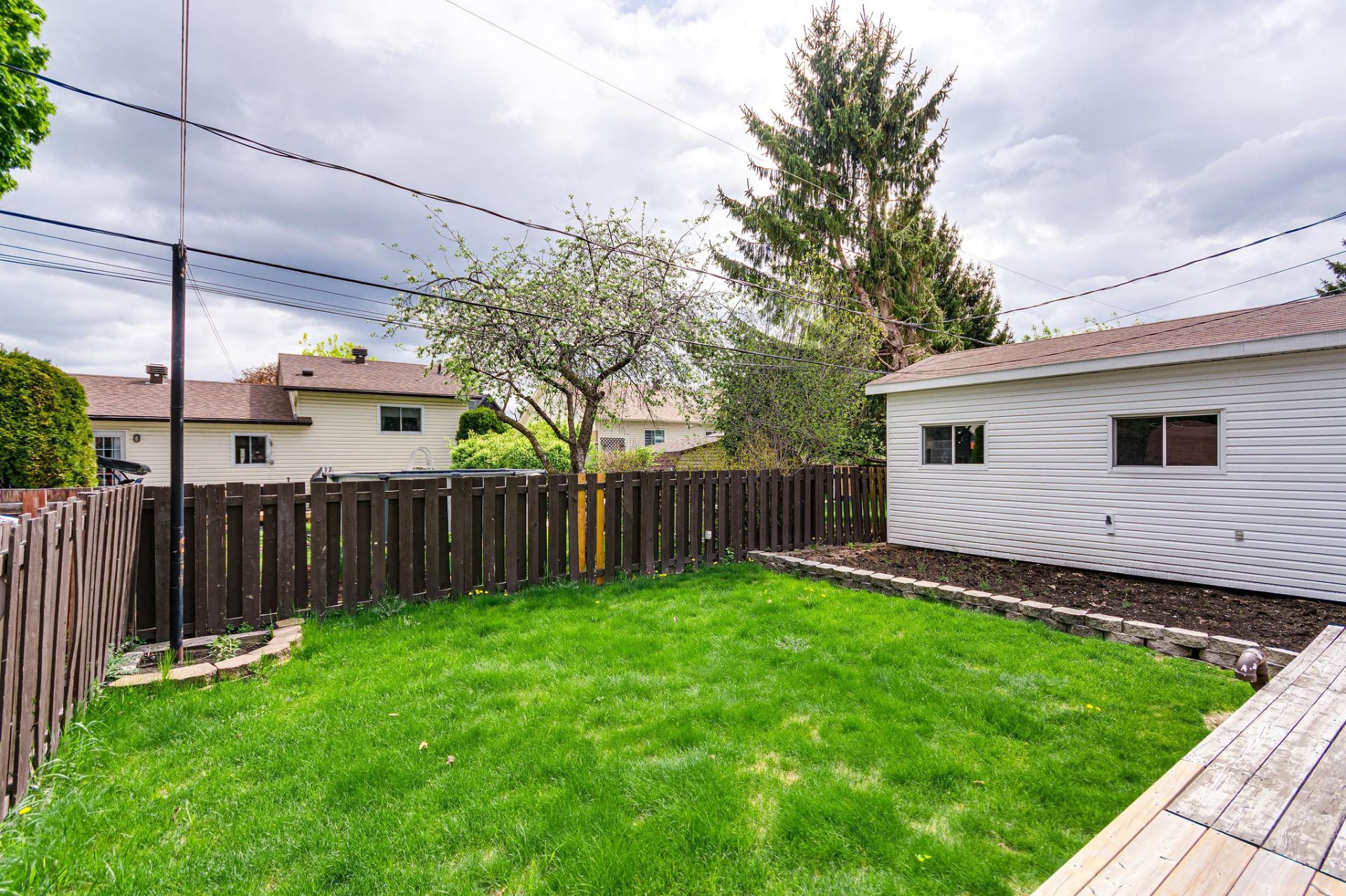 Backyard