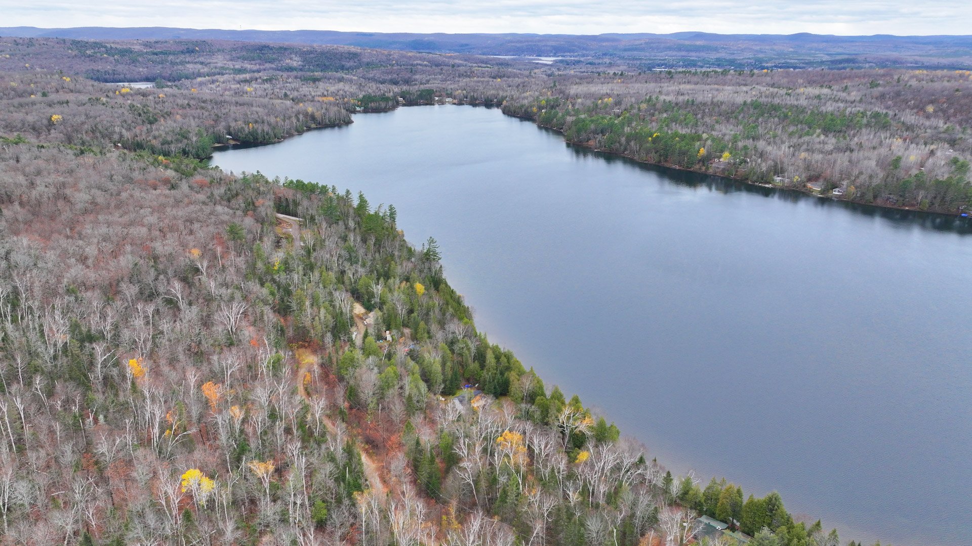 Overall view