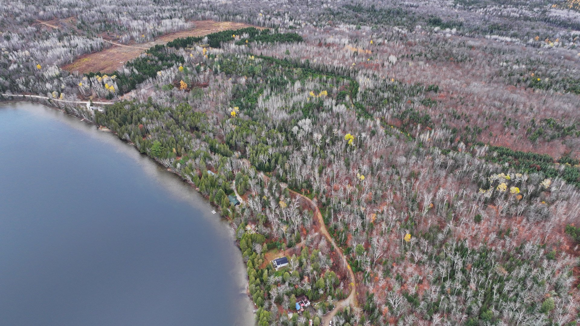 Overall view