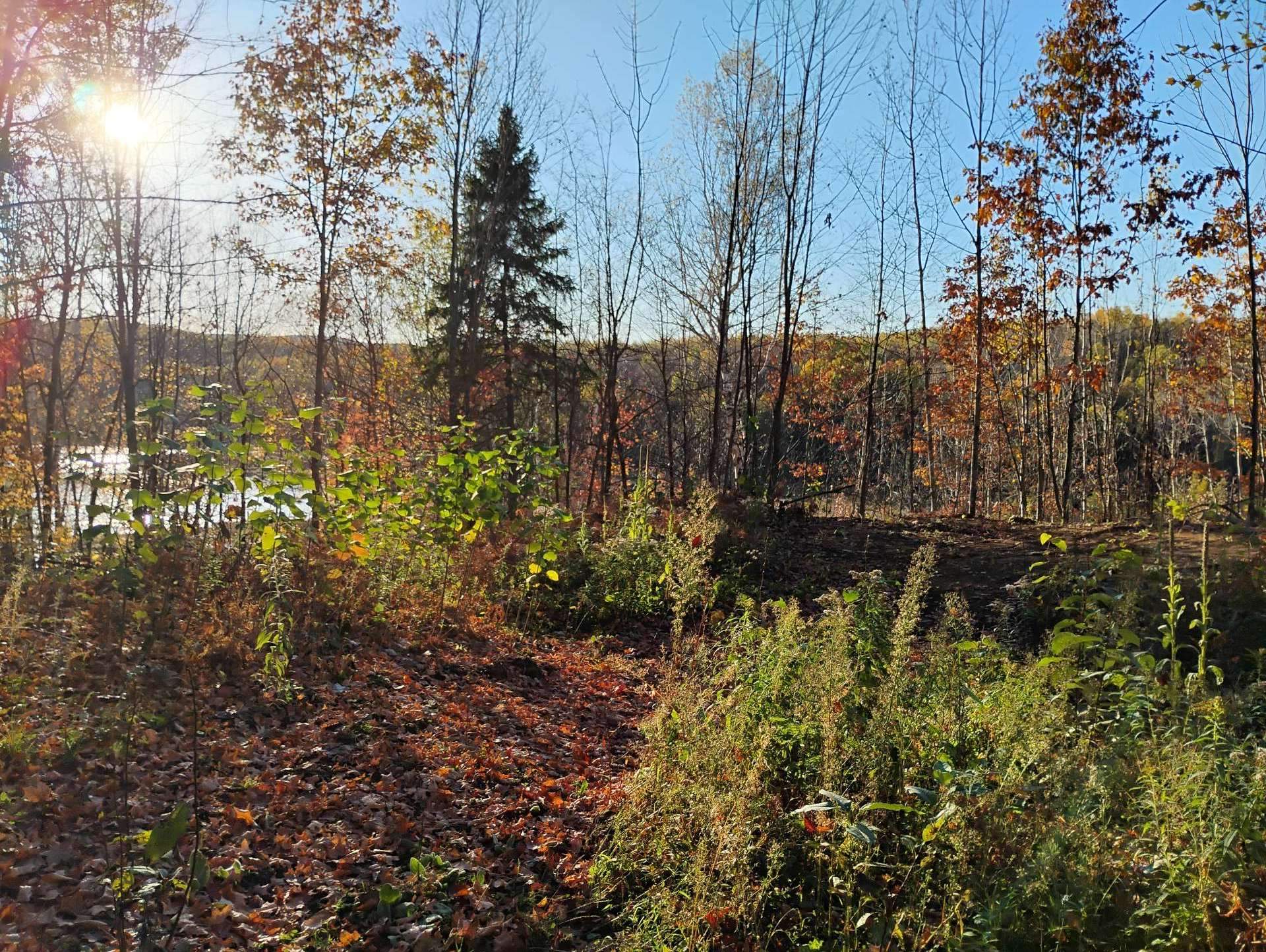 Land/Lot