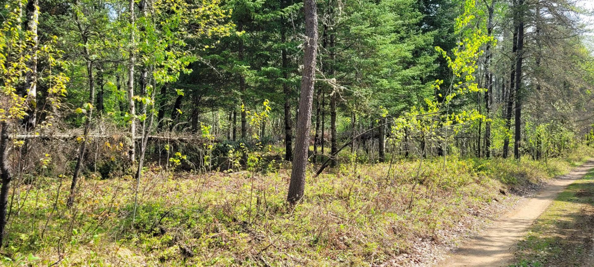 Land/Lot