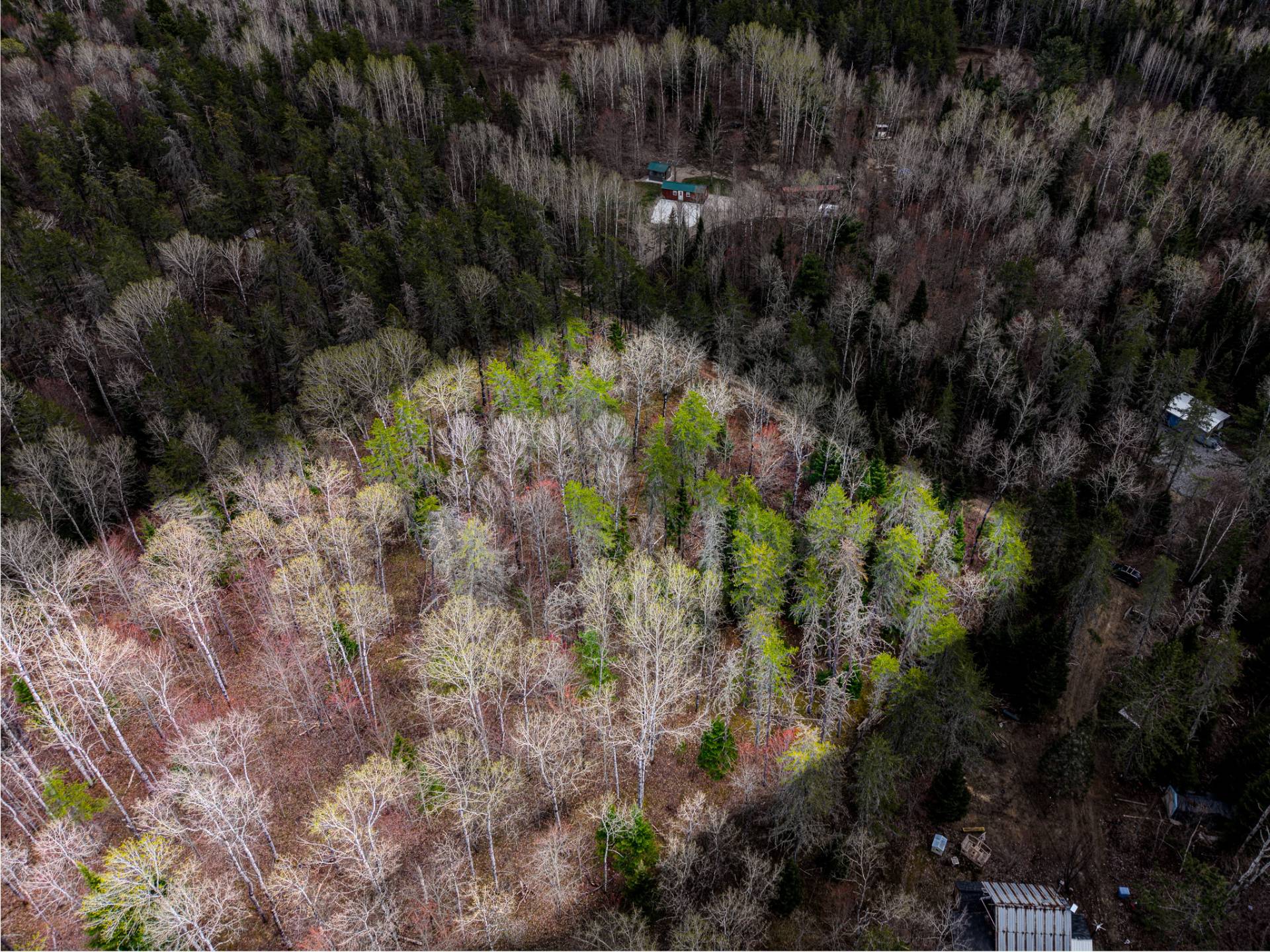 Aerial photo