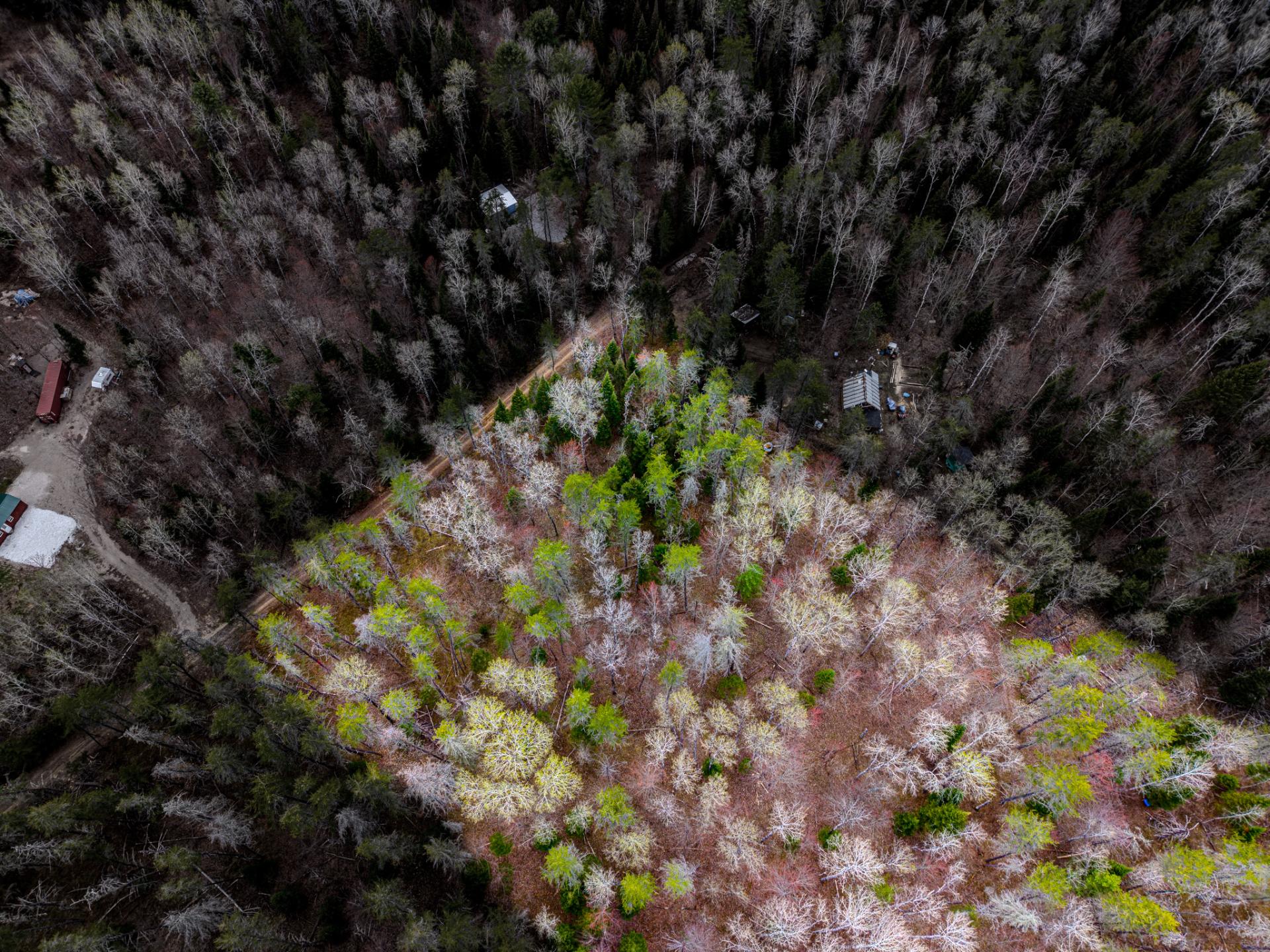 Aerial photo