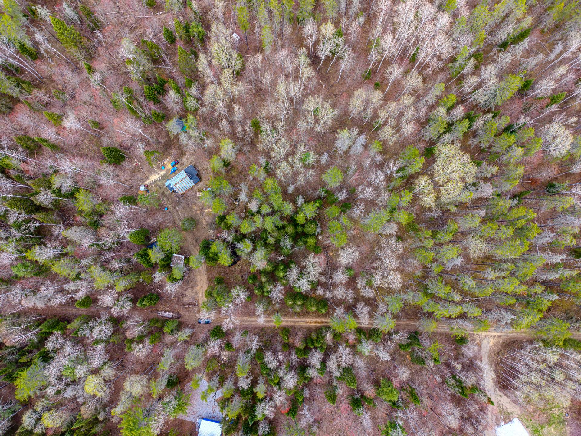 Aerial photo