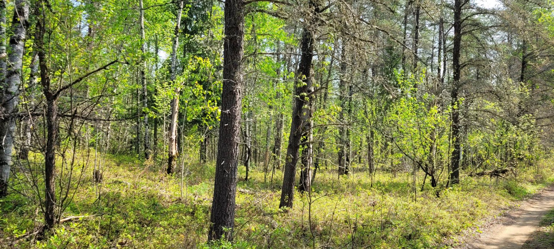 Land/Lot