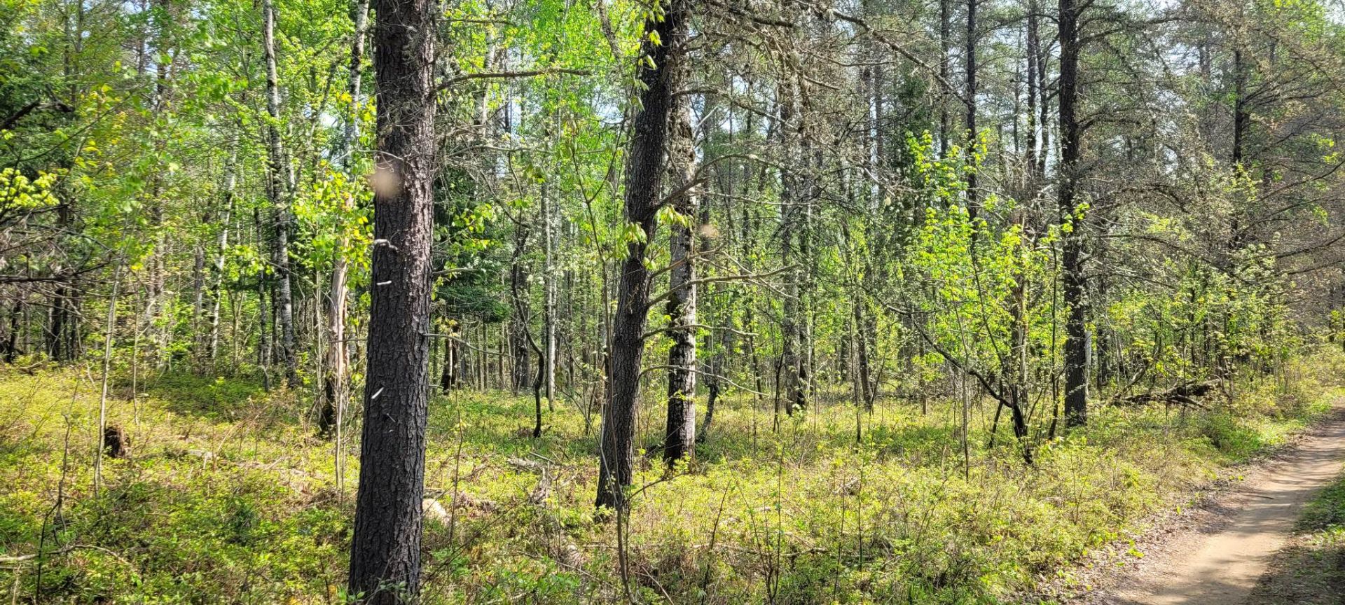 Land/Lot