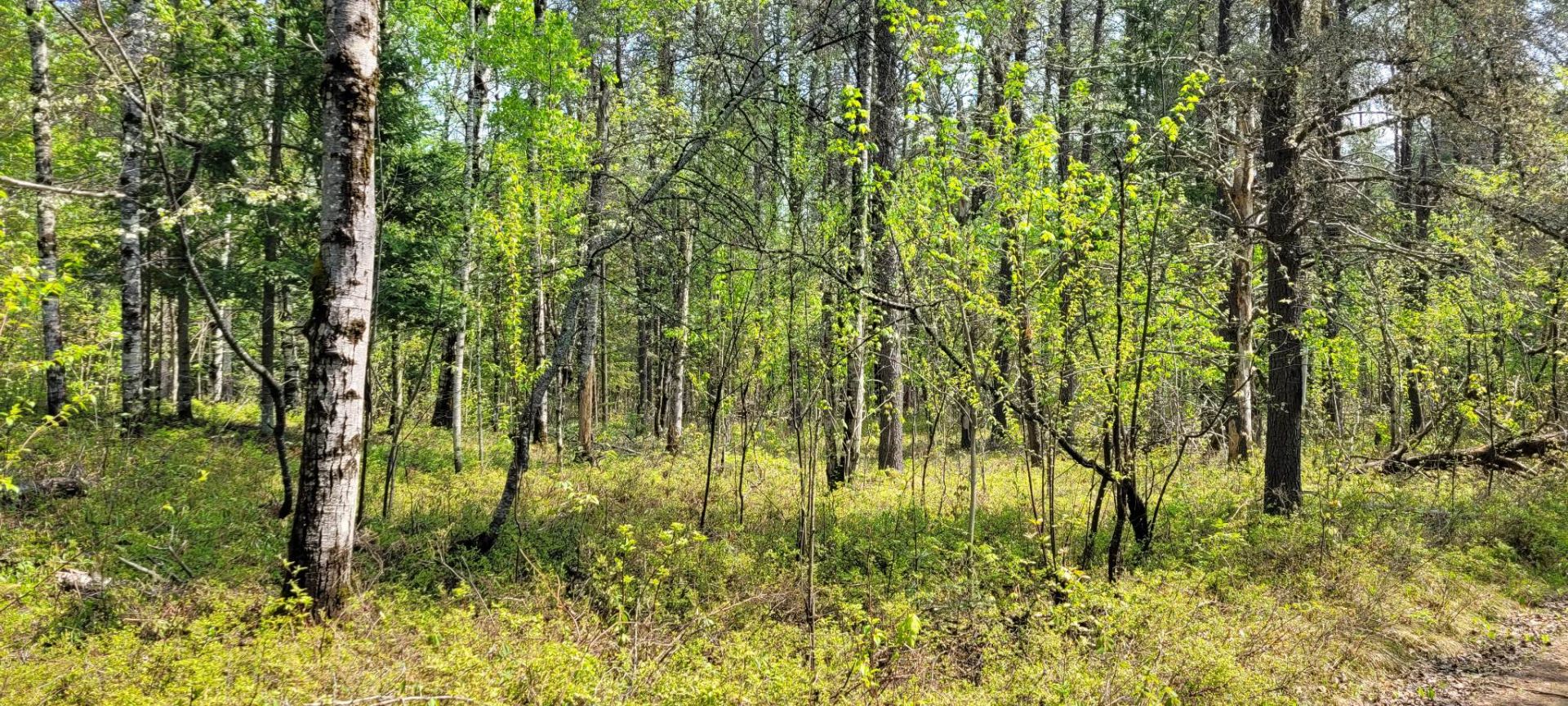 Land/Lot