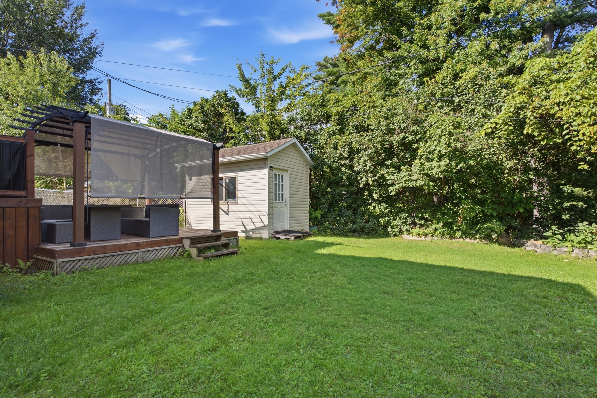 Backyard
