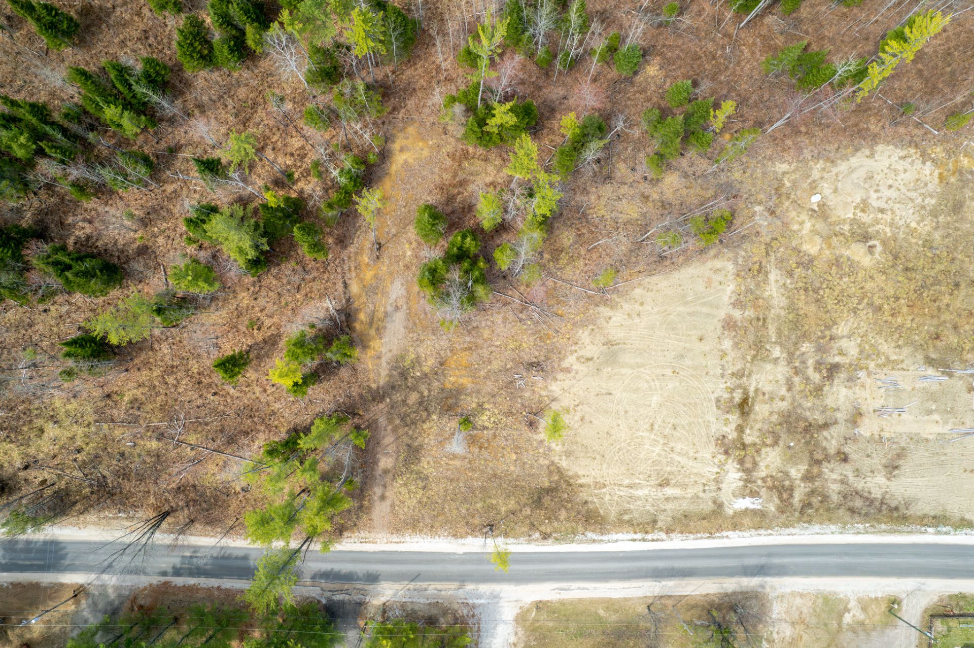 Land/Lot