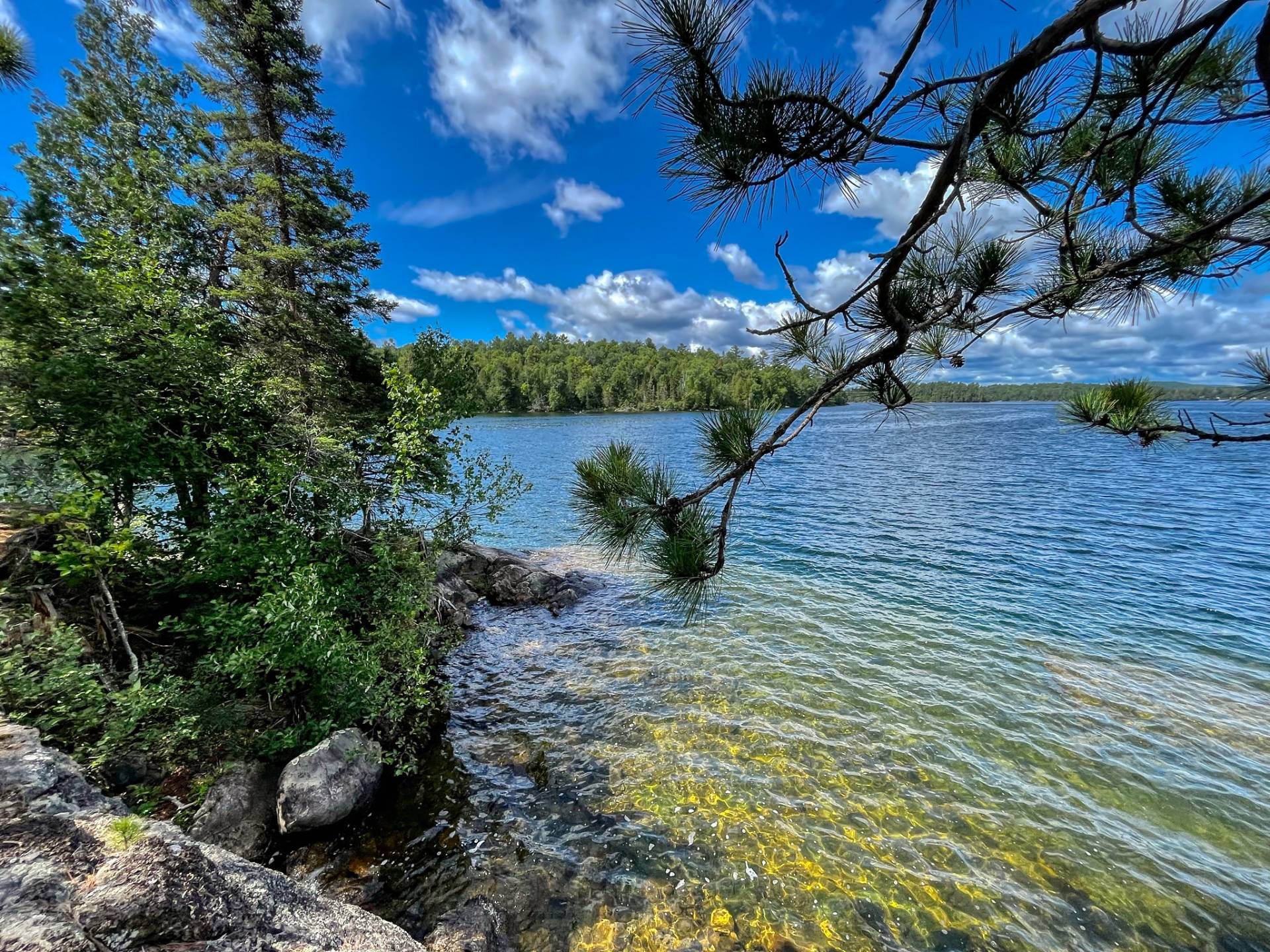 Bord de l'eau