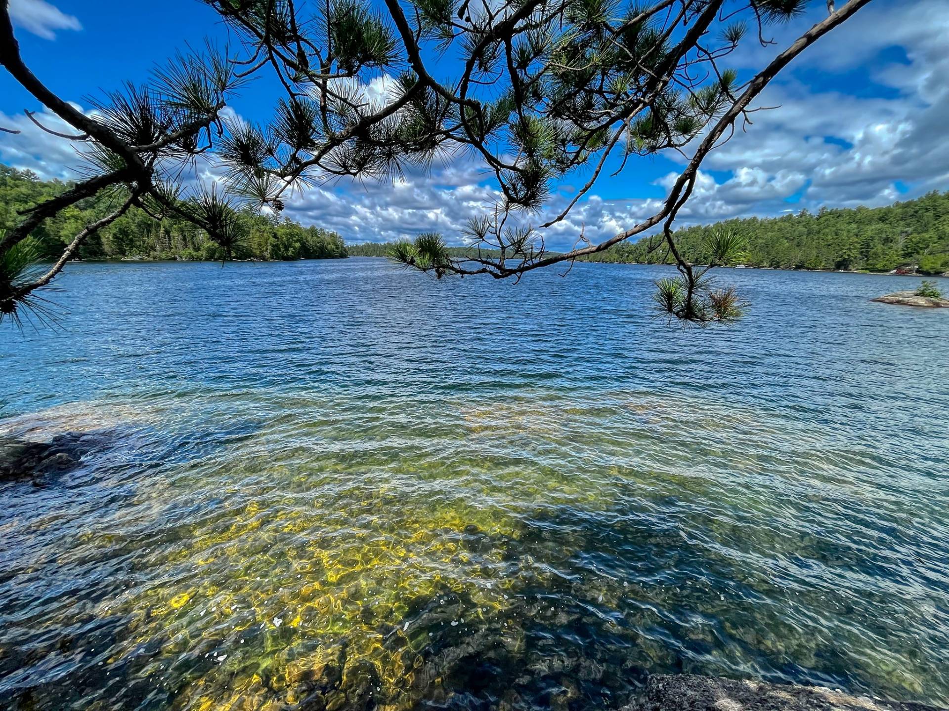 Bord de l'eau