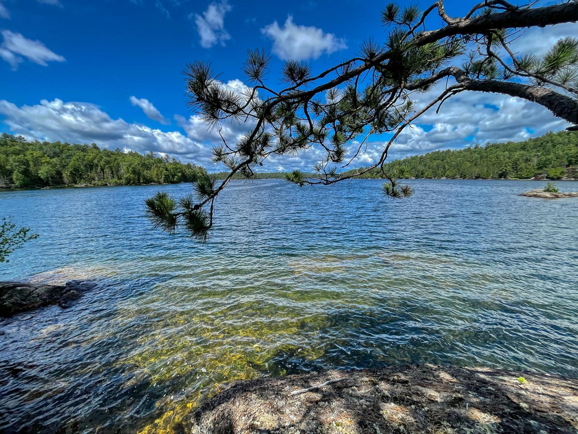 Bord de l'eau