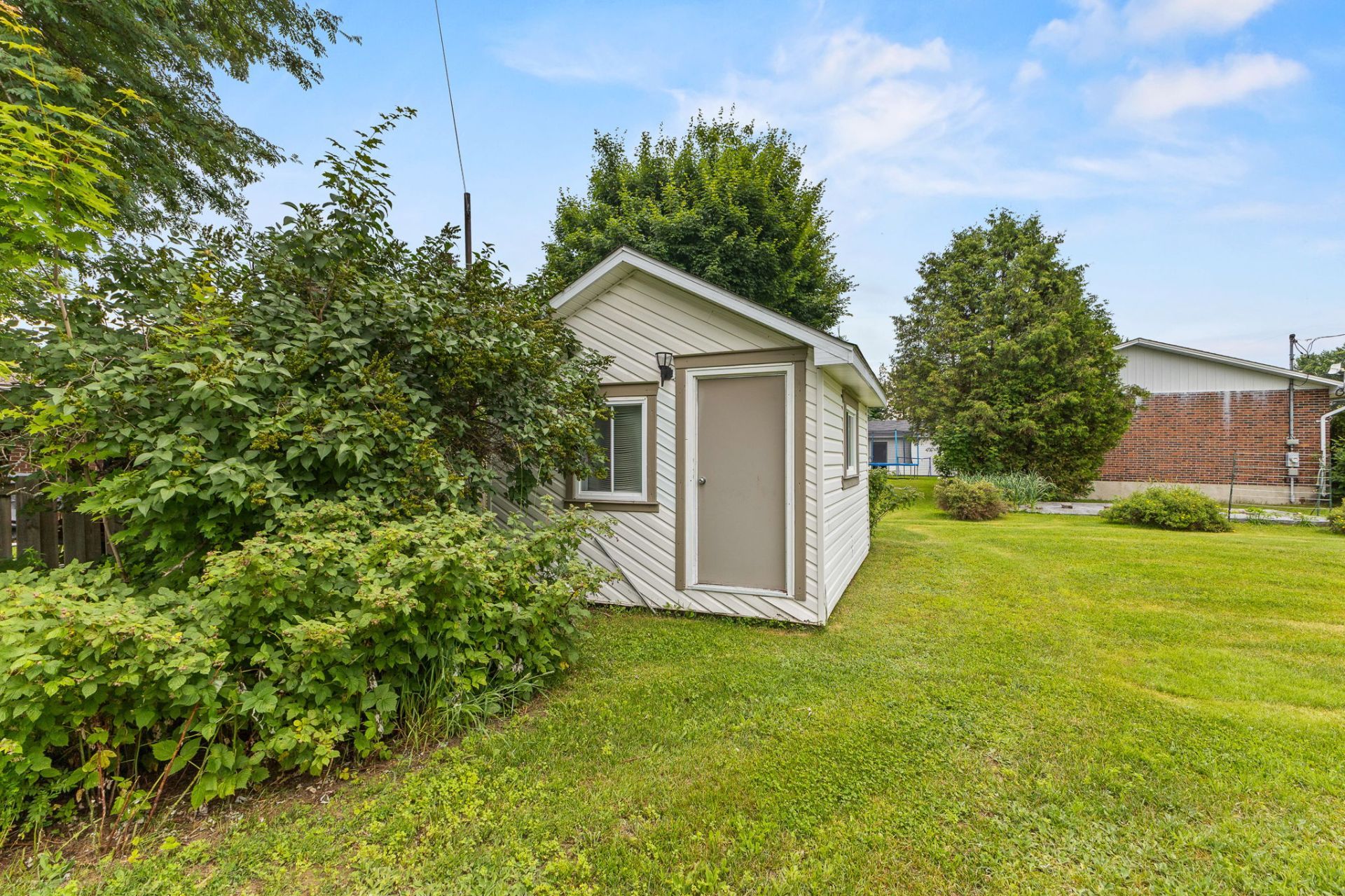 Shed